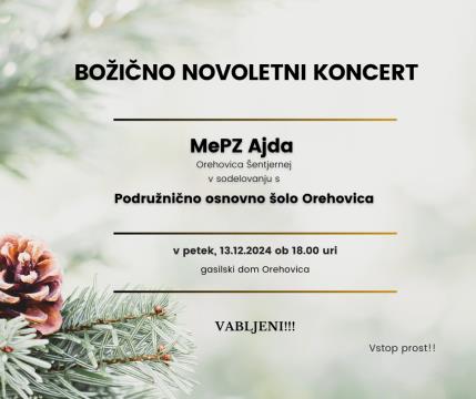 Božično novoletni koncert Ajda 13.12.2024